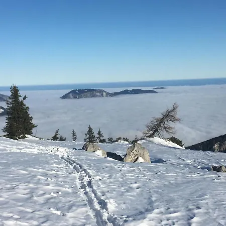 Maximilian Lejlighed *