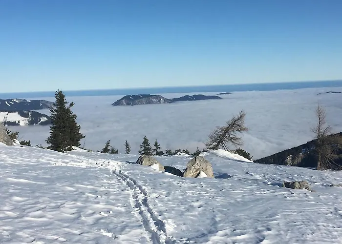 Maximilian Lejlighed *