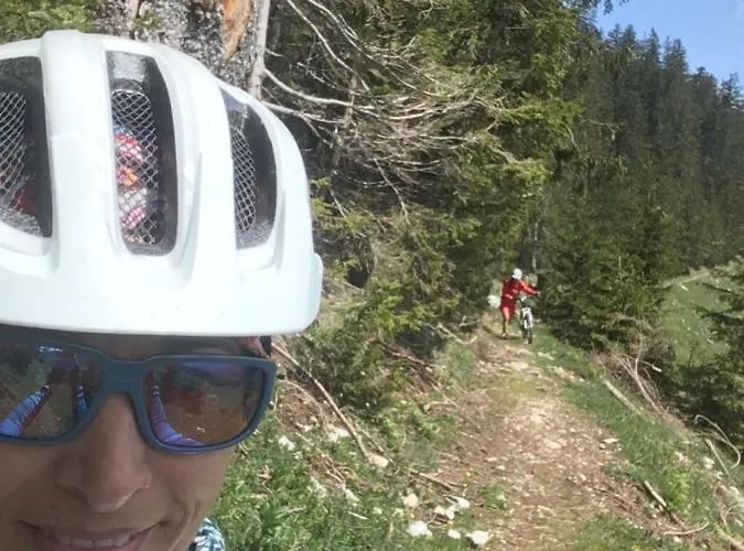 Apartament Maximilian