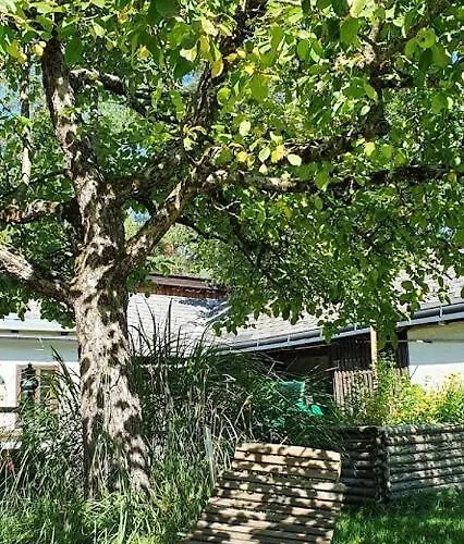 Maximilian גוסטלינג אן דר איבס